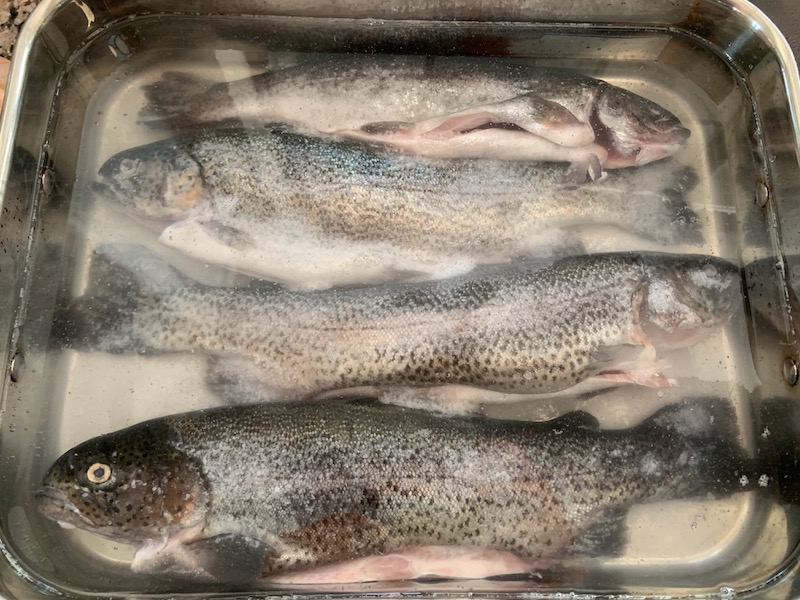 Whole trout in an overnight salt bath